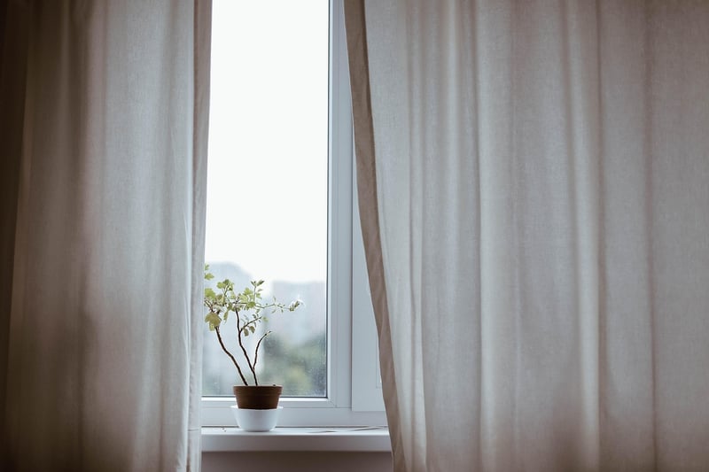Indoor plant tips